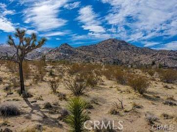 Joshua Tree, CA 92252,0 Melton