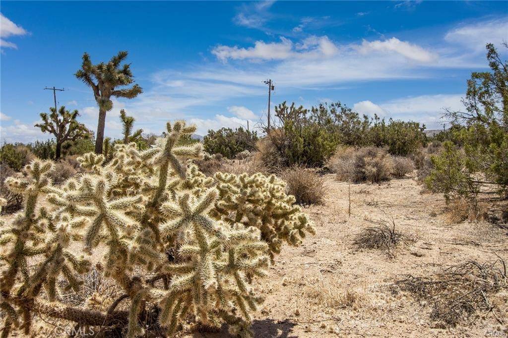 Yucca Valley, CA 92284,999 Grand AVE