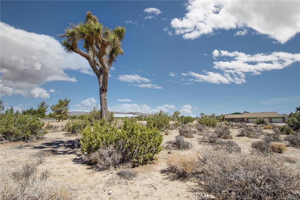 Yucca Valley, CA 92284,999 Grand AVE