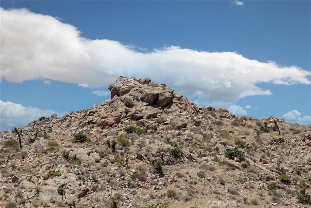 Joshua Tree, CA 92252,60300 Mountain TRL