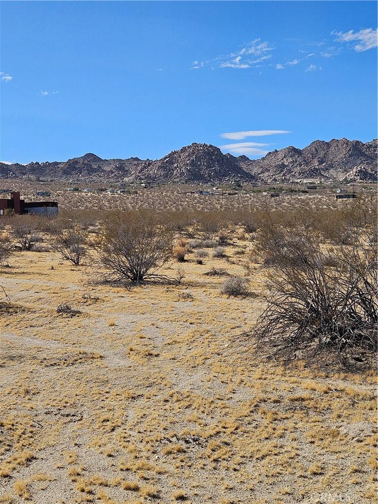 Joshua Tree, CA 92252,0 Twentynine Palms HWY