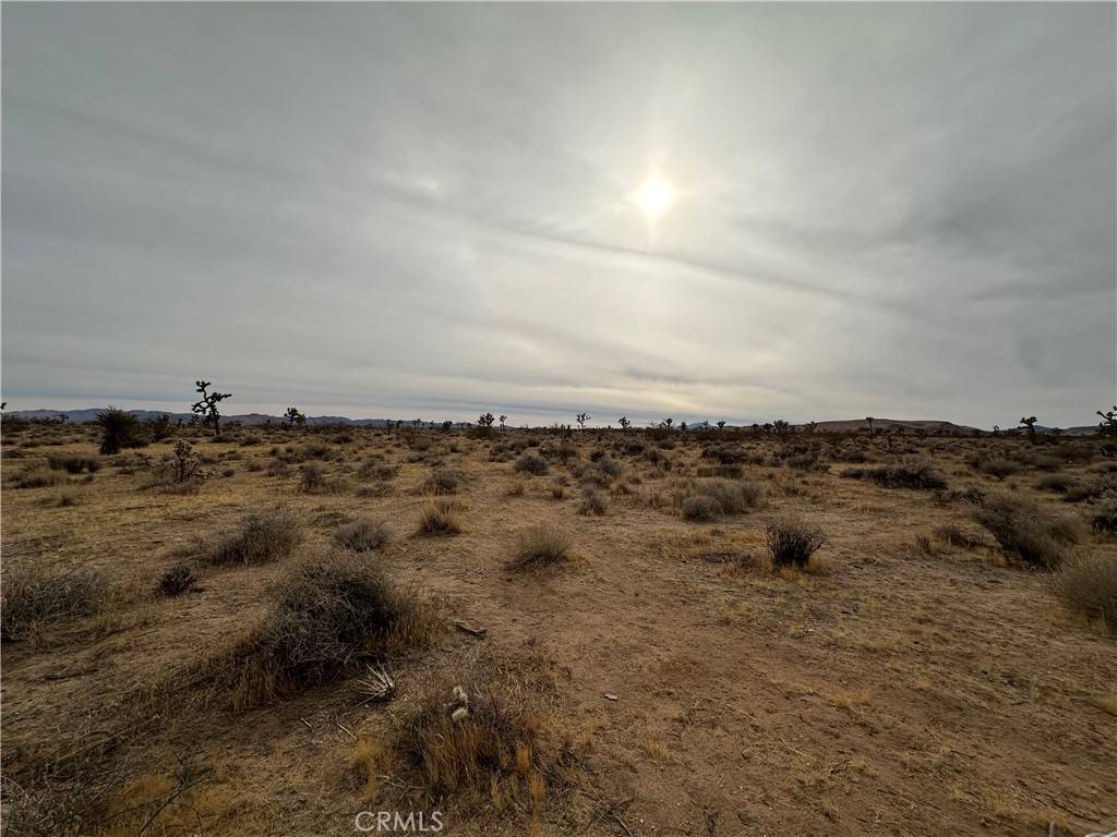 Yucca Valley, CA 92284,0 Canterbury