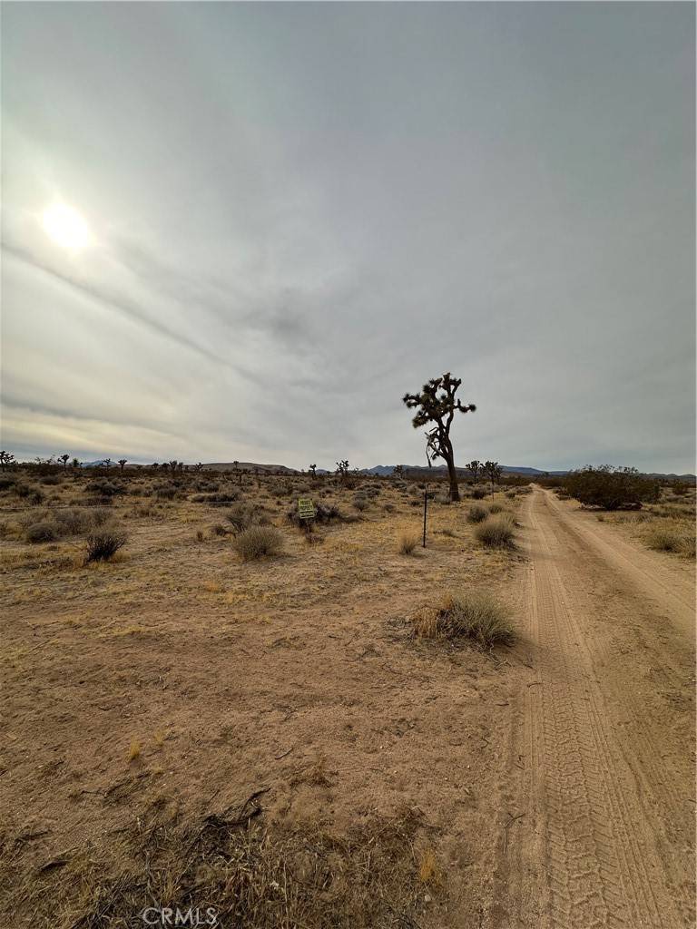 Yucca Valley, CA 92284,0 Canterbury