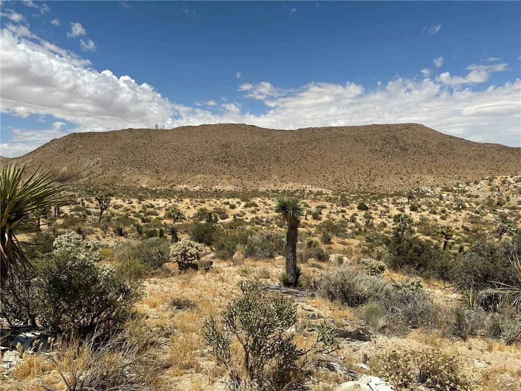 Yucca Valley, CA 92284,2468 Prescott Ave
