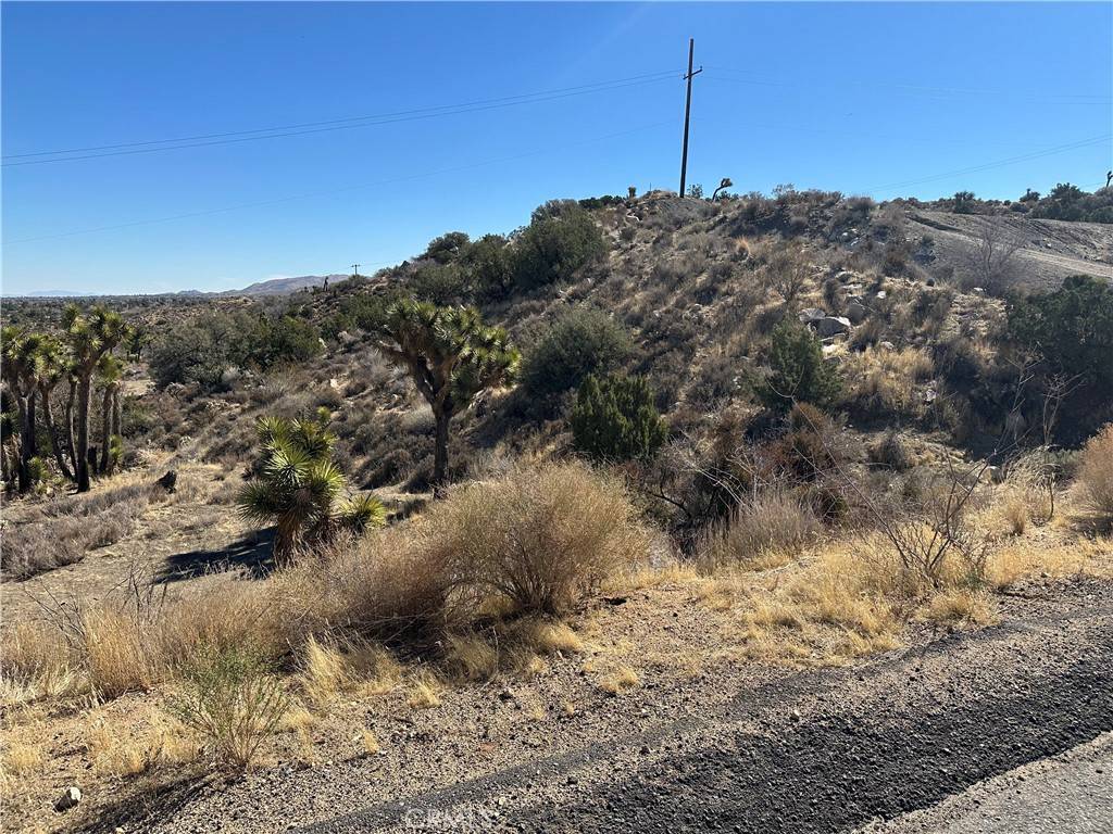 Yucca Valley, CA 92284,0 Pinon DR