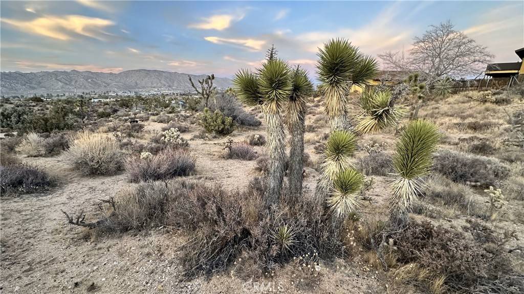 Yucca Valley, CA 92284,55370 Bunny RD