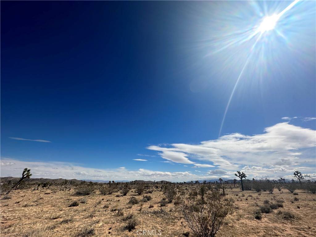 Yucca Valley, CA 92284,1111 Warren Vista AVE
