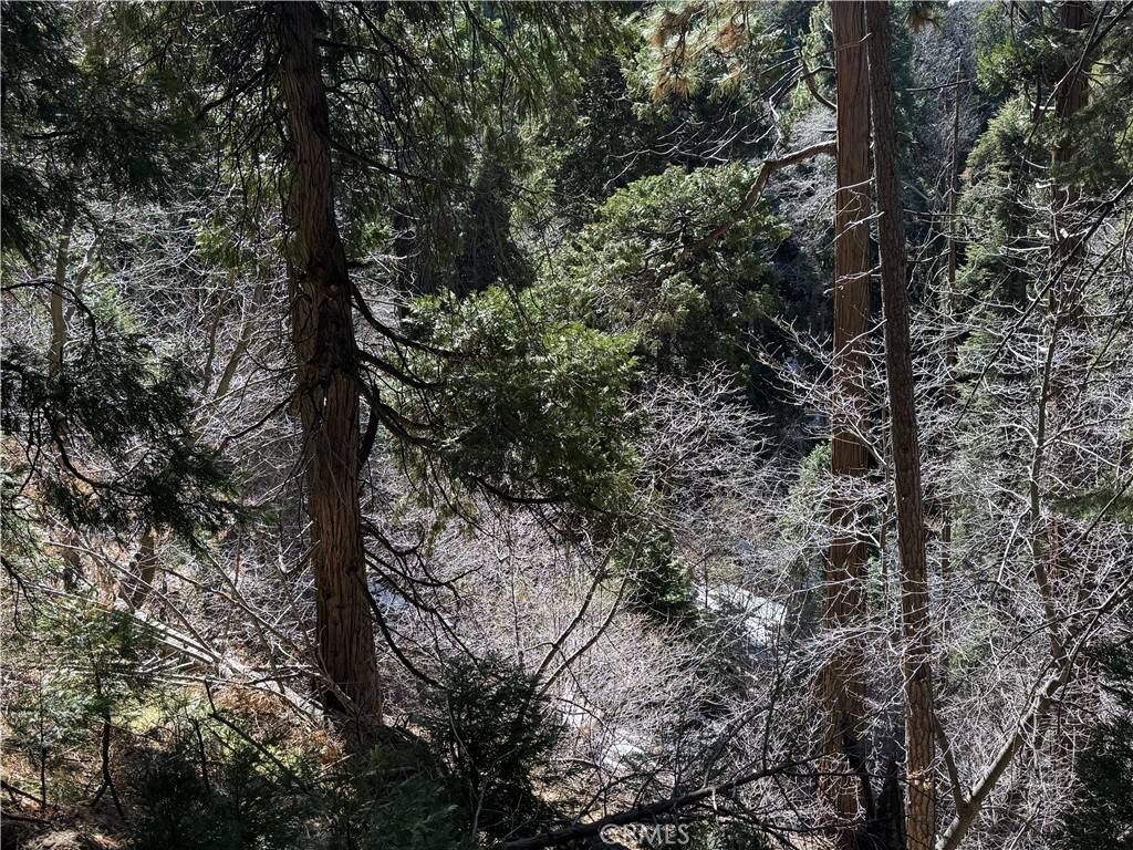 Lake Arrowhead, CA 92352,0 Sunderland CT