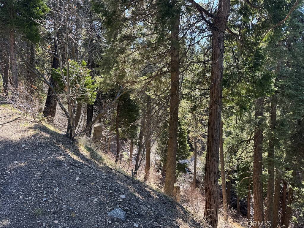 Lake Arrowhead, CA 92352,0 Sunderland CT