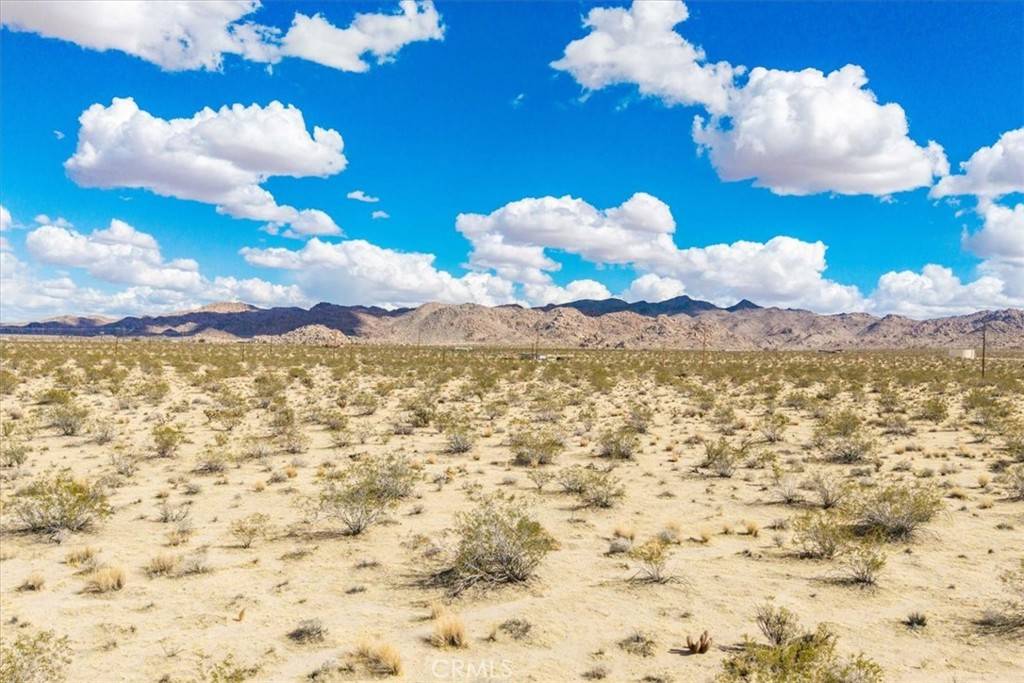 Joshua Tree, CA 92252,8114 Cottonwood DR