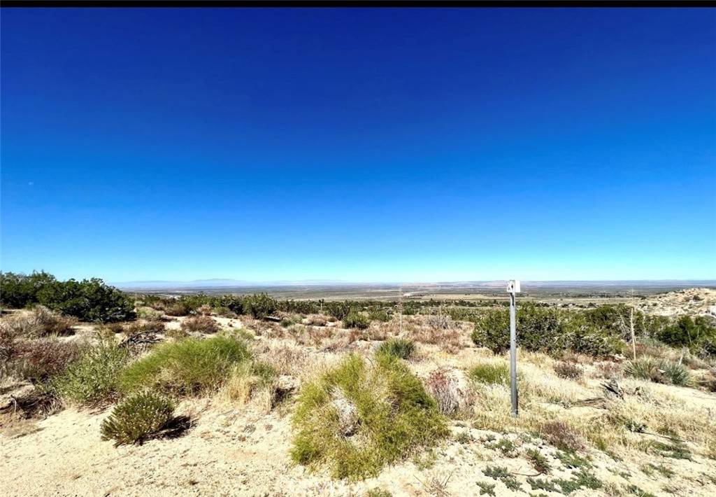 Llano, CA 93544,0 Avenue Y-8