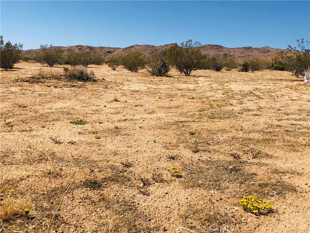 Landers, CA 92285,2 Geronimo TRL