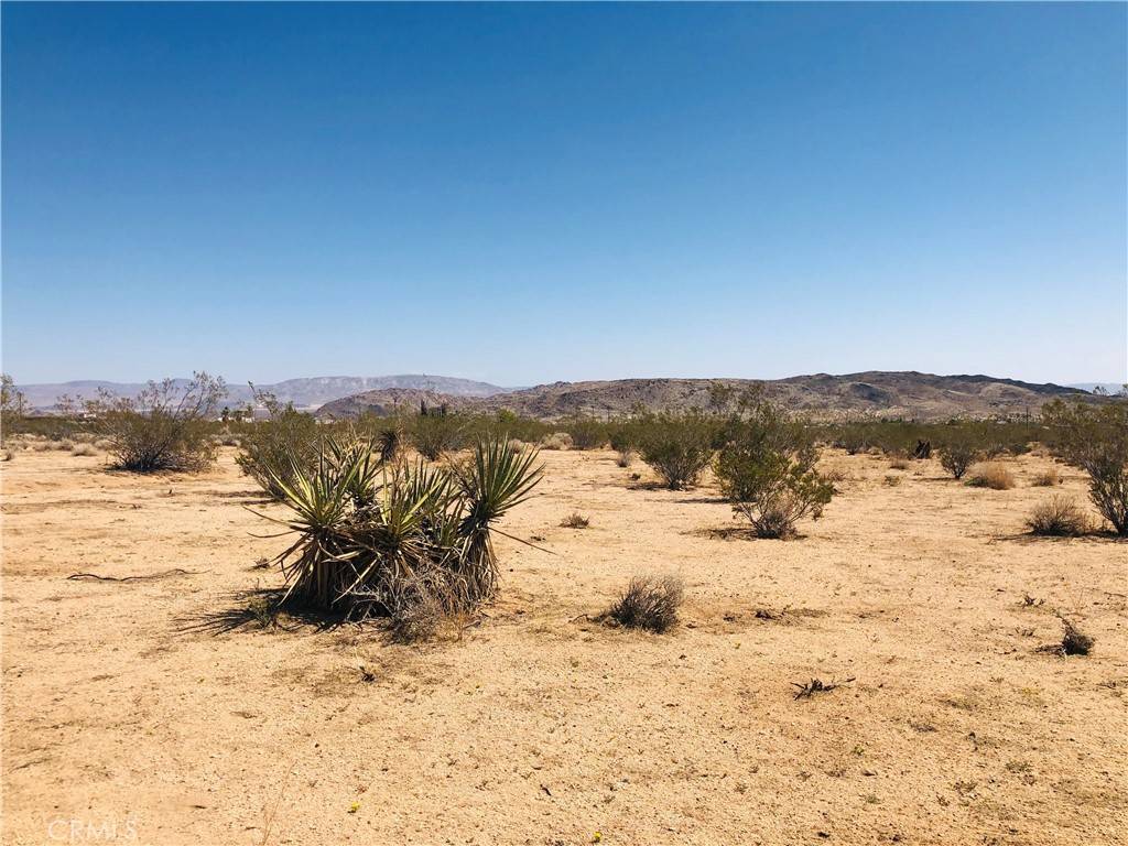 Landers, CA 92285,2 Geronimo TRL