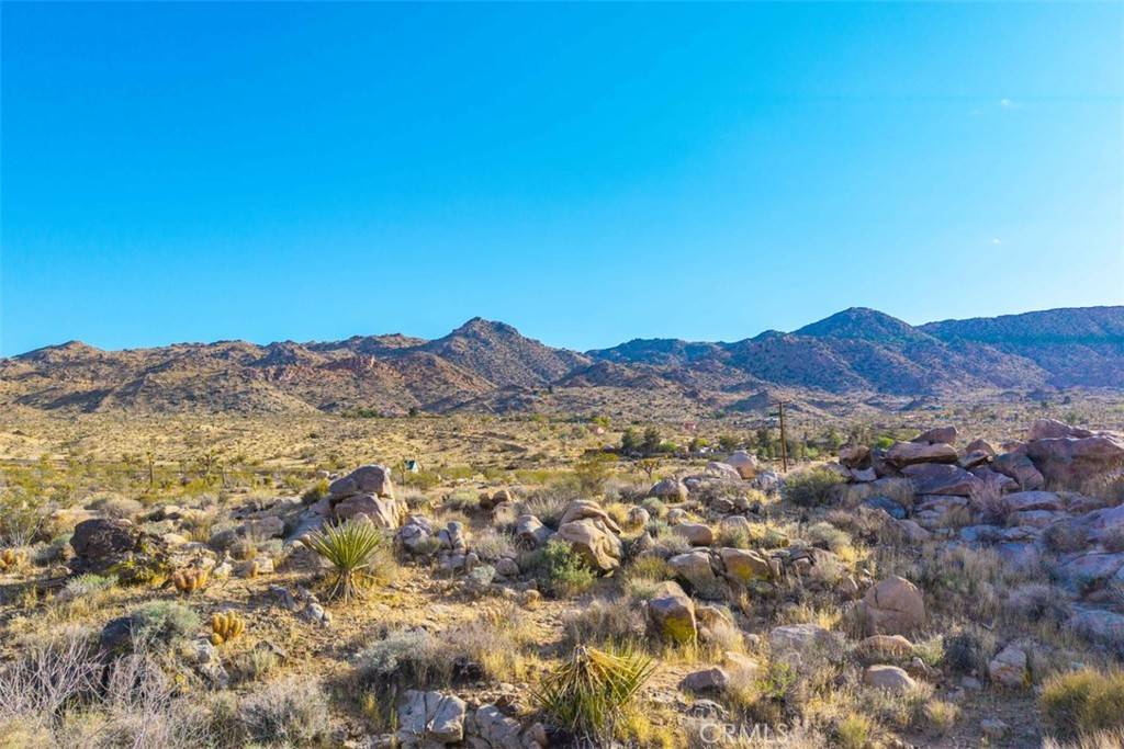 Joshua Tree, CA 92252,62570 Turtle RD