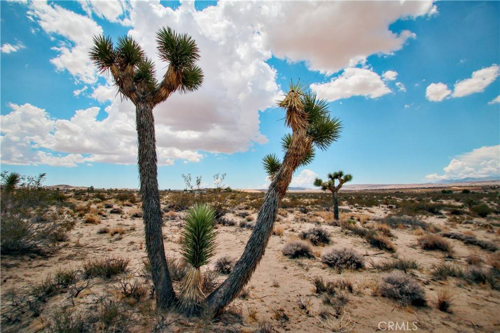 Landers, CA 92285,0 Easton RD