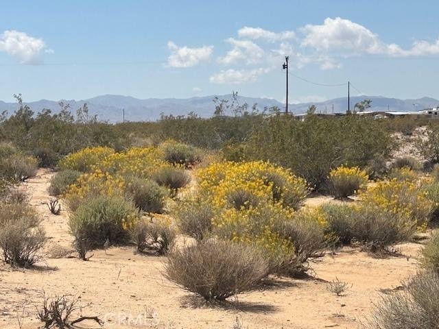 Joshua Tree, CA 92252,0 Daisy LN