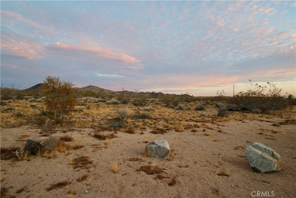 Yucca Valley, CA 92284,177 Cherokee TRL