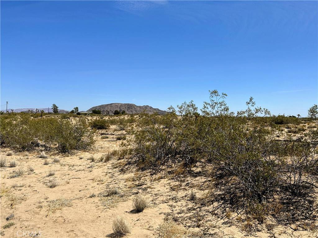 Landers, CA 92285,0 Amargo RD