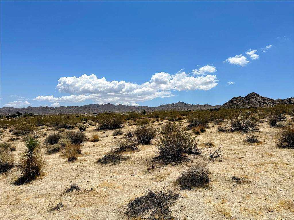 Joshua Tree, CA 92252,64100 Sullivan RD