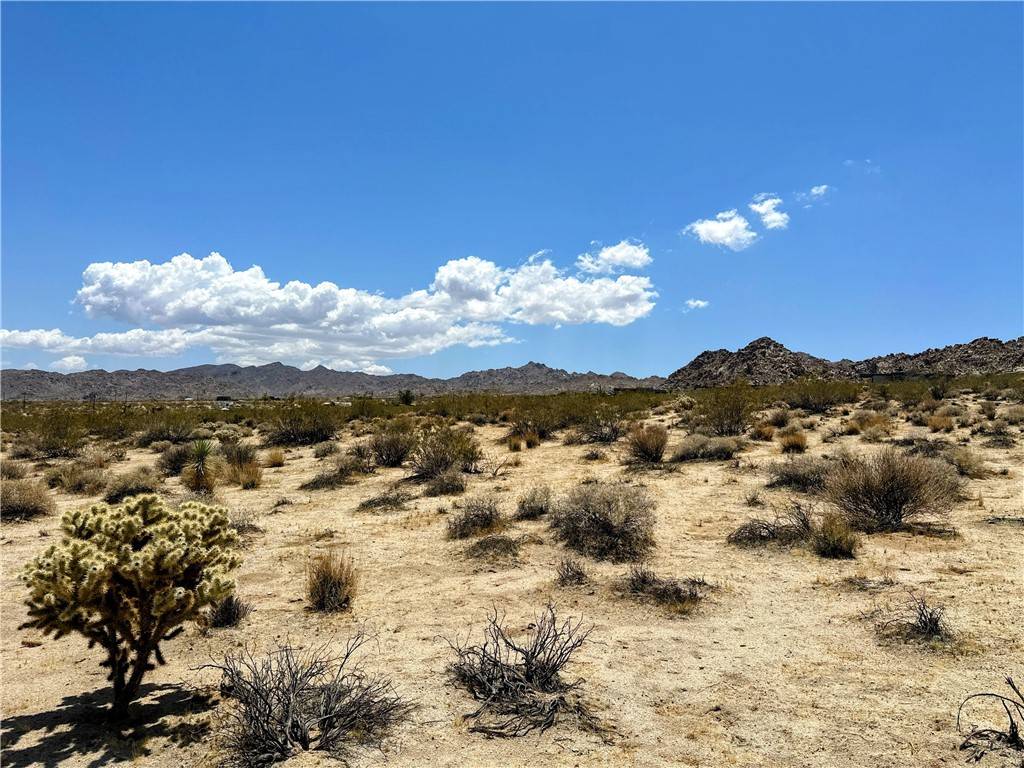 Joshua Tree, CA 92252,64100 Sullivan RD