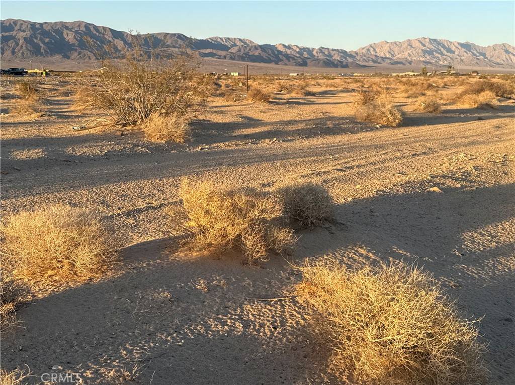 29 Palms, CA 92277,81100 Pipeline RD