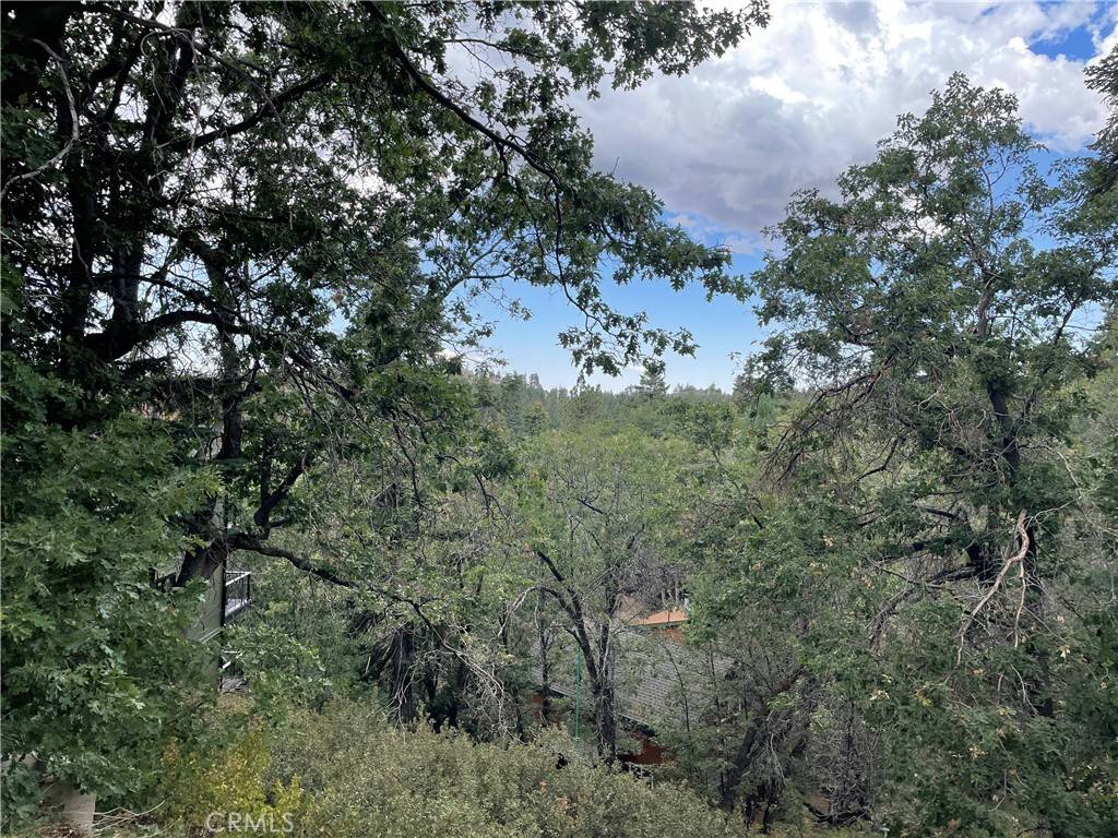 Green Valley Lake, CA 92341,33462 Angeles DR