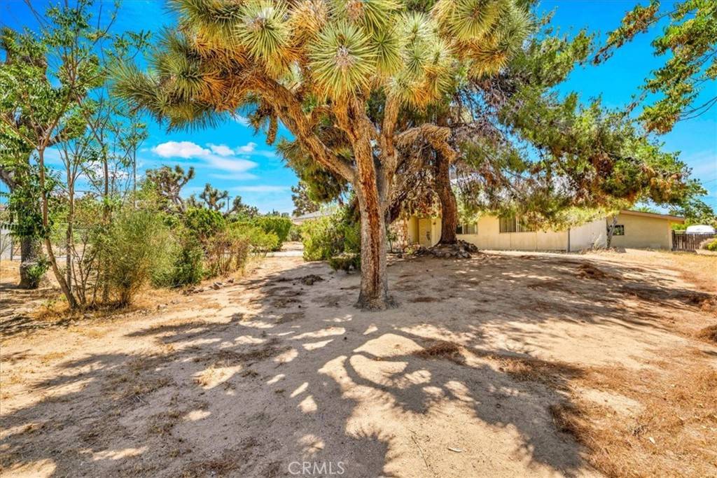 Yucca Valley, CA 92284,8082 Grand AVE