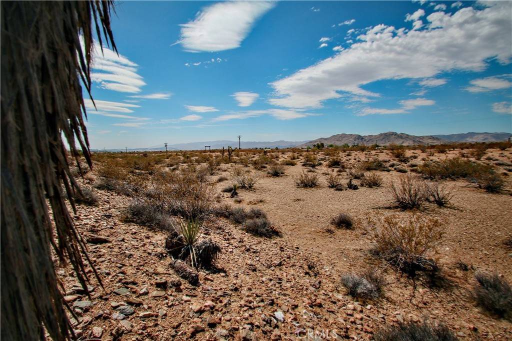 Joshua Tree, CA 92252,60024 La Brisa DR