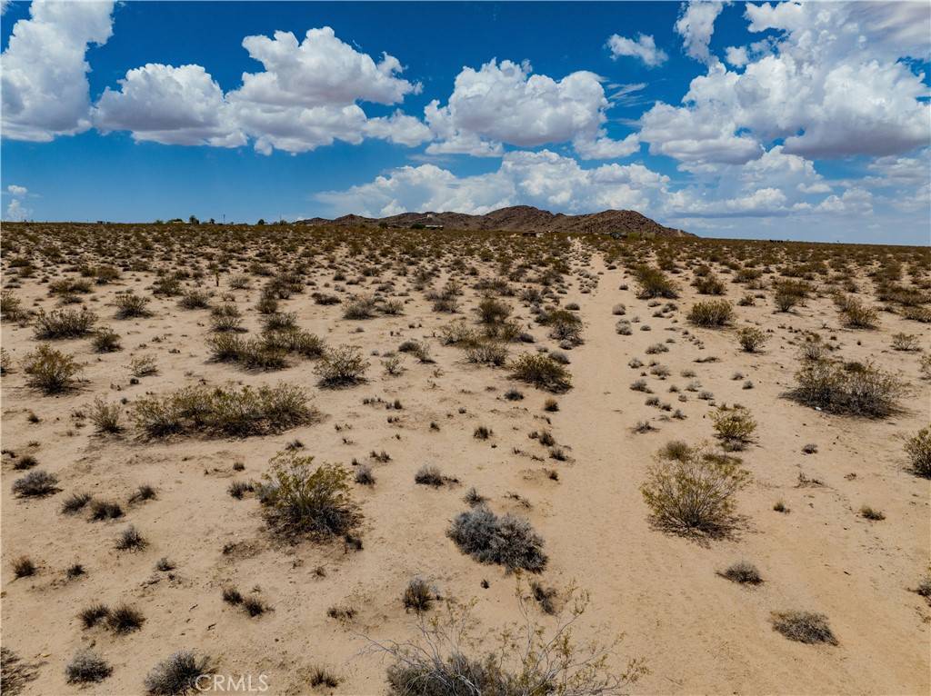 Joshua Tree, CA 92252,63840 Desert Lily ST