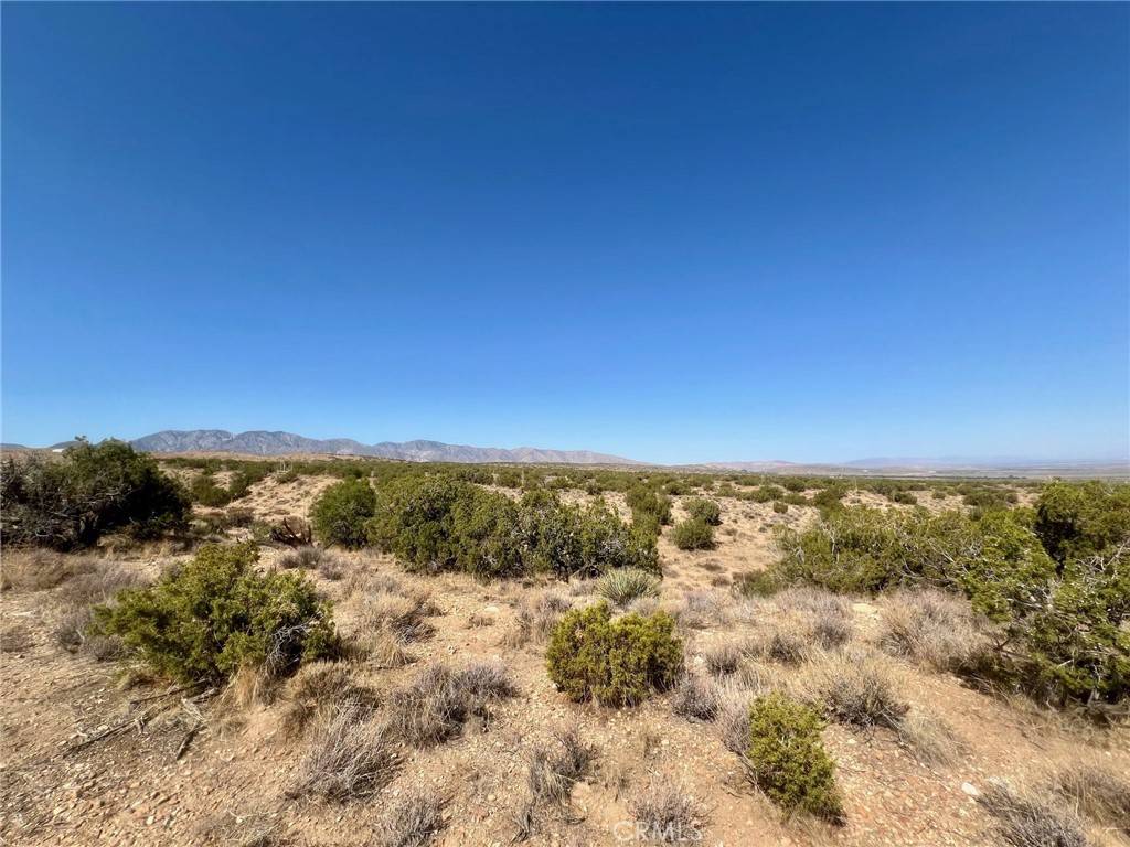 Llano, CA 93544,185 Avenue Y