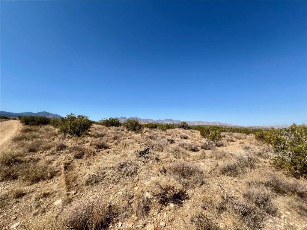 Llano, CA 93544,185 Avenue Y