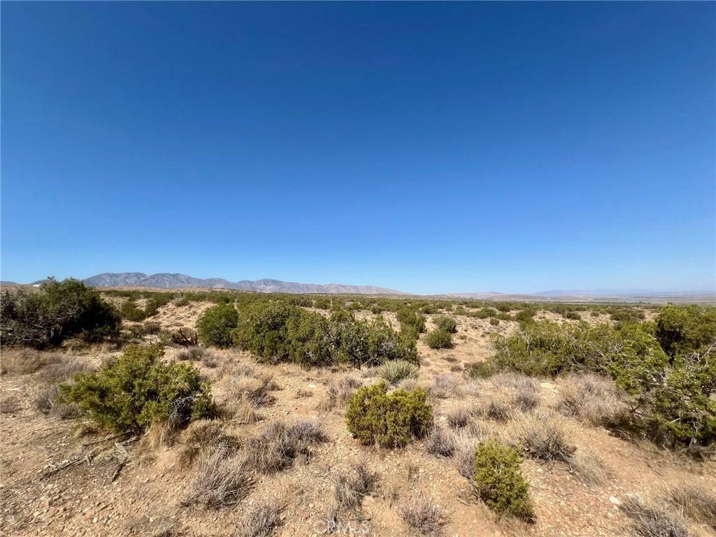 Llano, CA 93544,185 Avenue Y