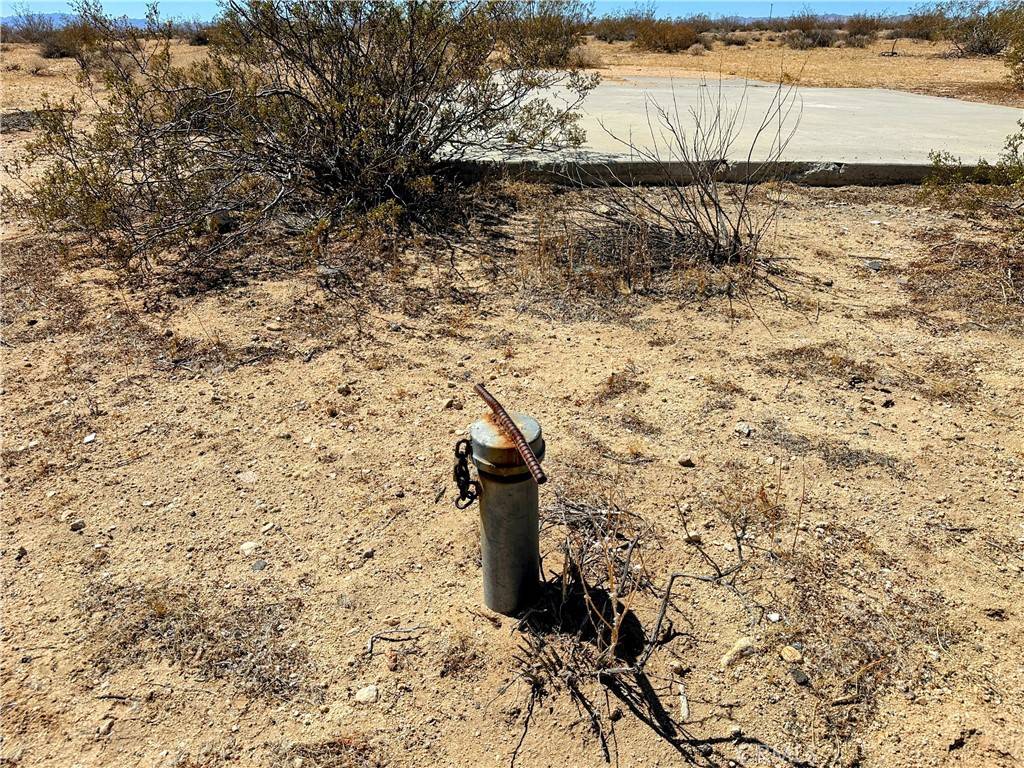 Joshua Tree, CA 92252,61869 Napa RD