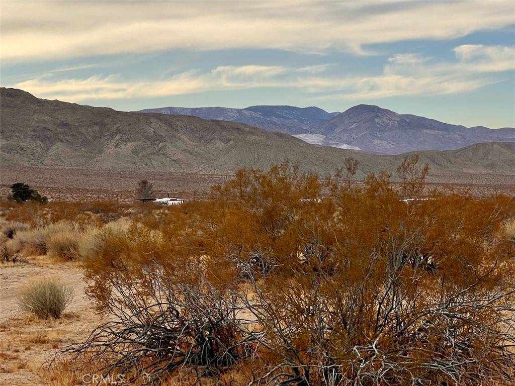 Johnson Valley, CA 92285,0 Ocotillo RD