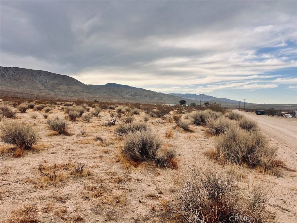 Johnson Valley, CA 92285,0 Ocotillo RD