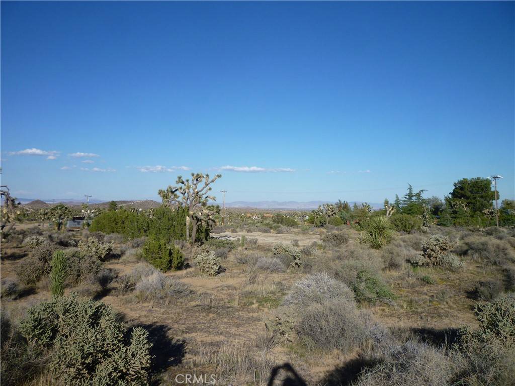 Yucca Valley, CA 92284,1234 Canton ST