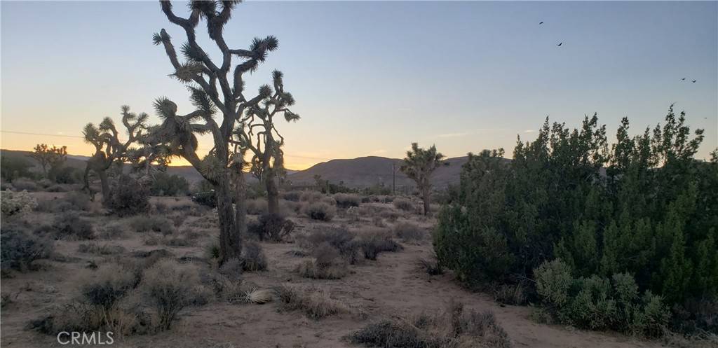 Yucca Valley, CA 92284,1234 Canton ST