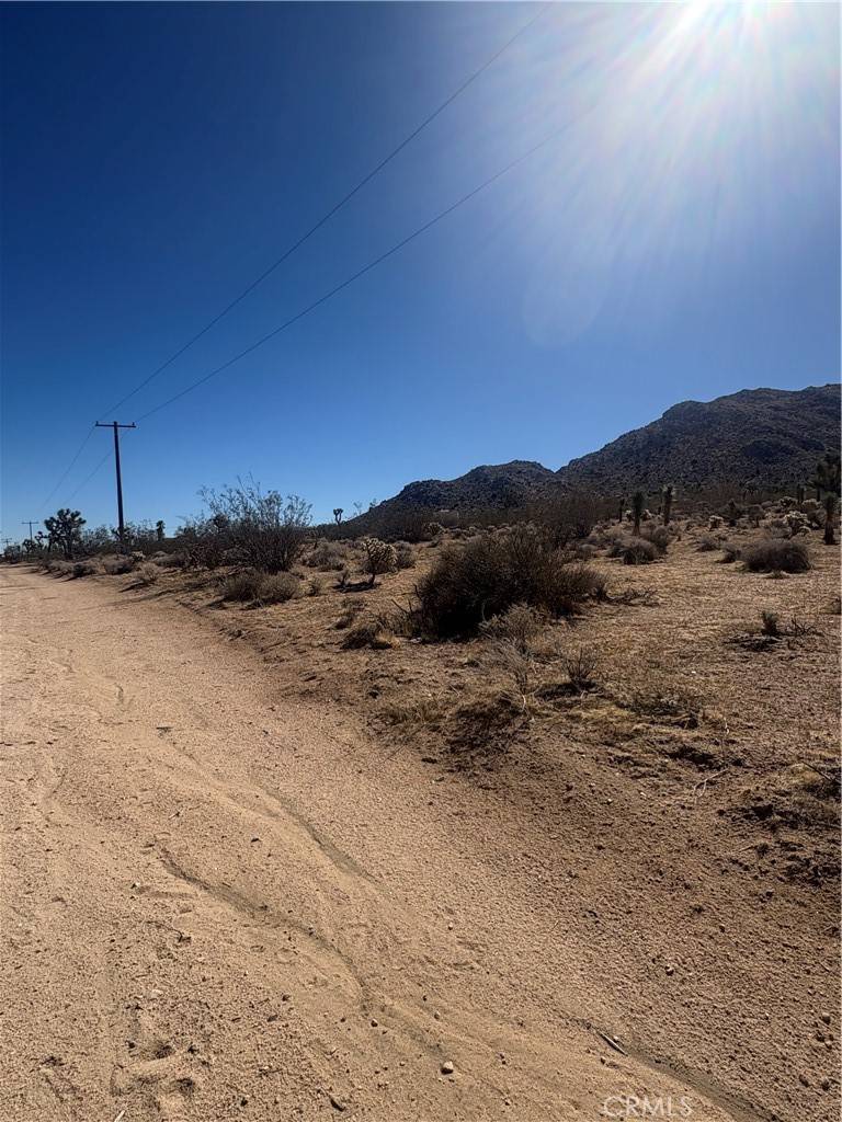 Joshua Tree, CA 92252,0 Melton