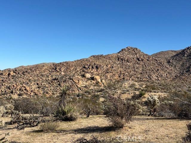 Joshua Tree, CA 92252,7085 Alturas DR