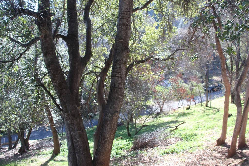 Lower Lake, CA 95457,6115 Sunrise DR