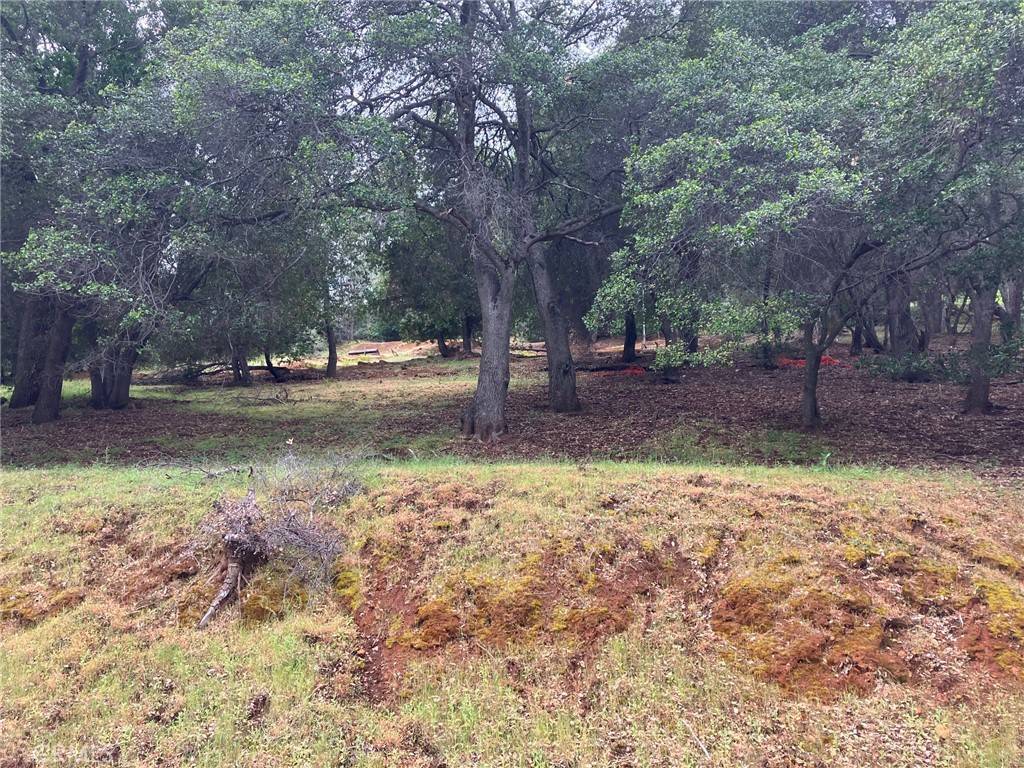 Kelseyville, CA 95451,3153 Southlake DR