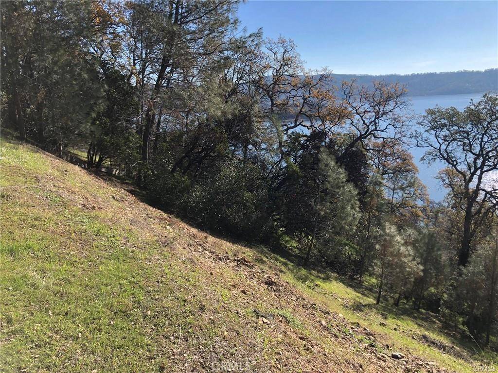 Clearlake Oaks, CA 95423,11725 Lakeview DR