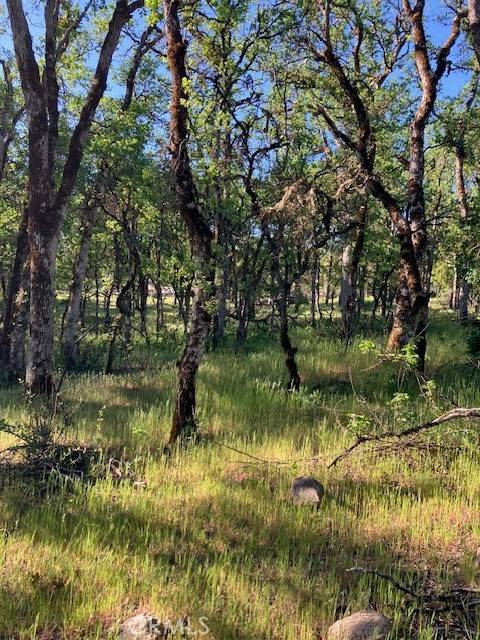 Clearlake, CA 95422,16073 13th AVE