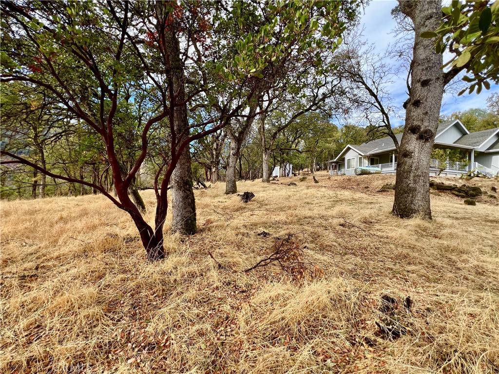 Kelseyville, CA 95451,2595 Eastlake DR