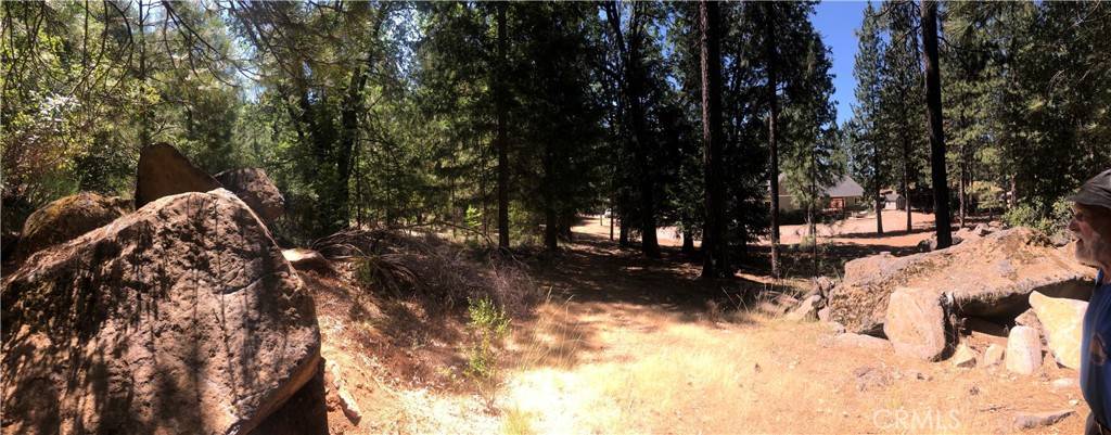 Cobb, CA 95426,8833 Fox DR