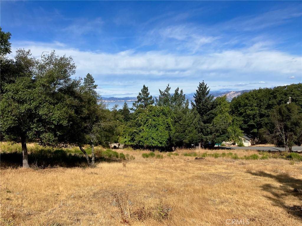 Kelseyville, CA 95451,3092 Riviera Heights DR