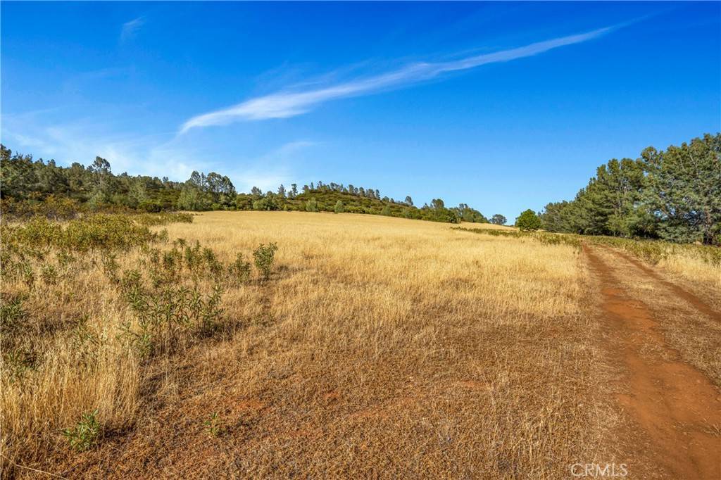 Middletown, CA 95461,20102 Jaclyn DR