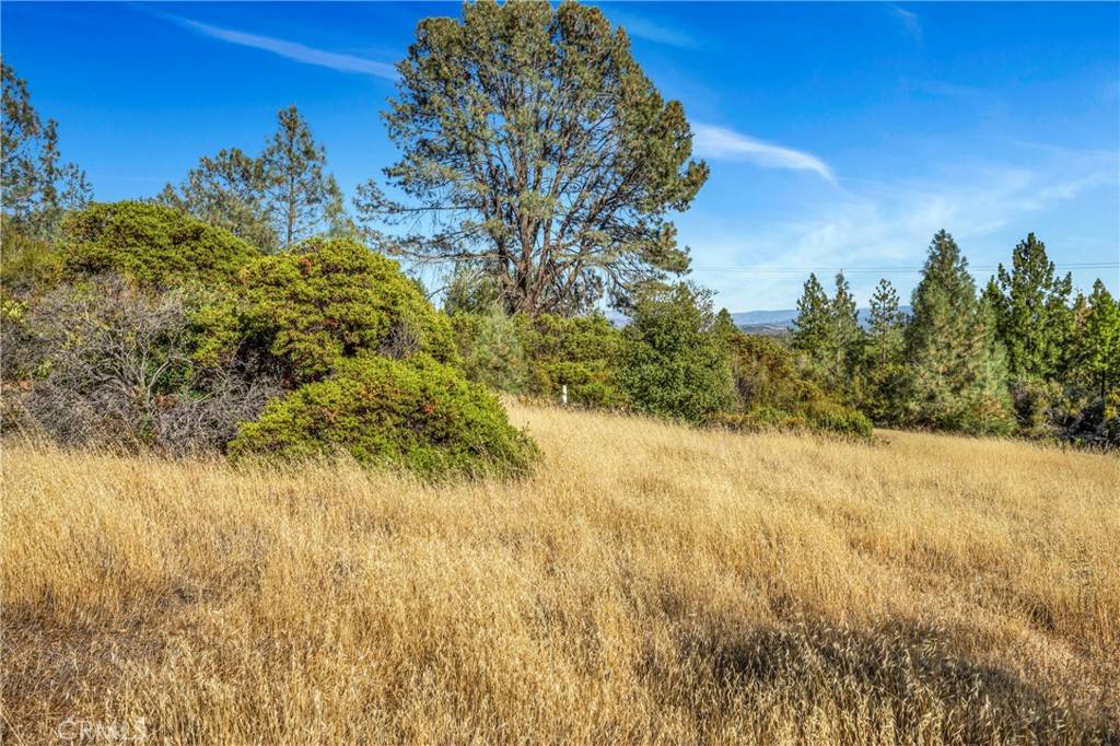 Middletown, CA 95461,20102 Jaclyn DR