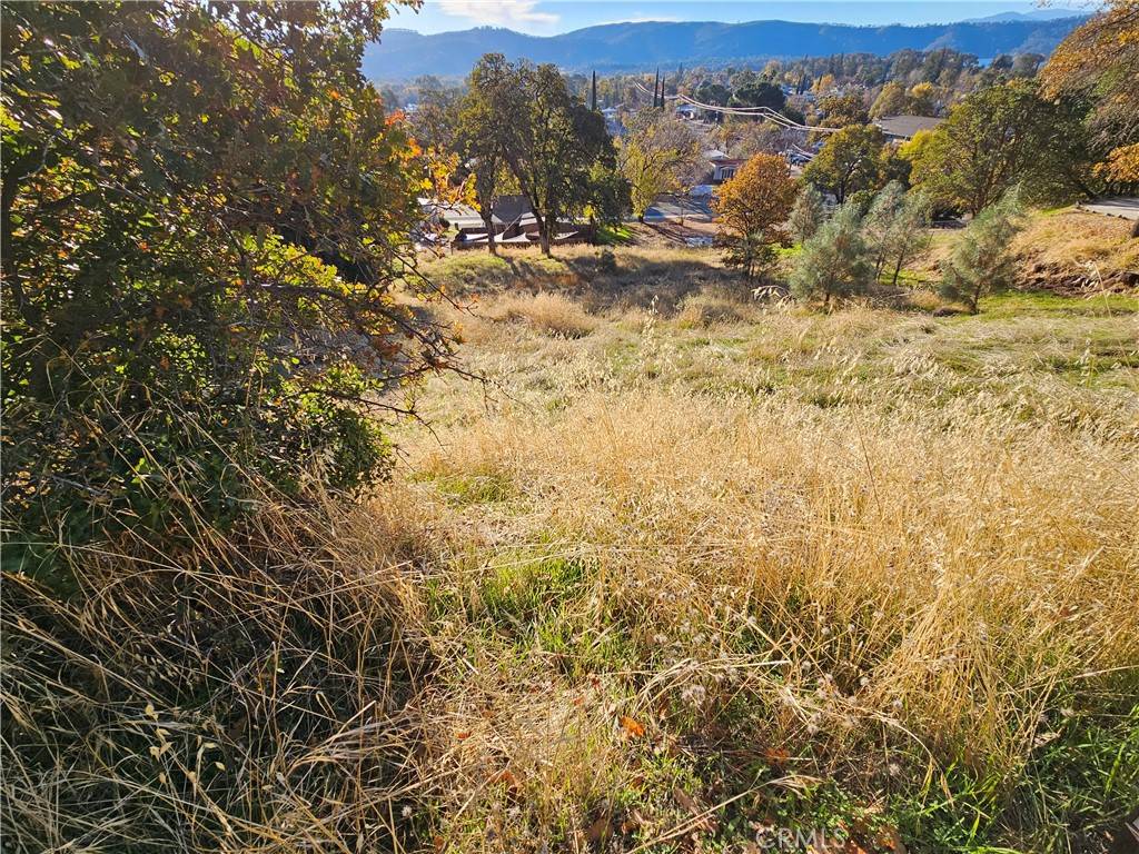 Clearlake Oaks, CA 95423,12831 Lakeview DR