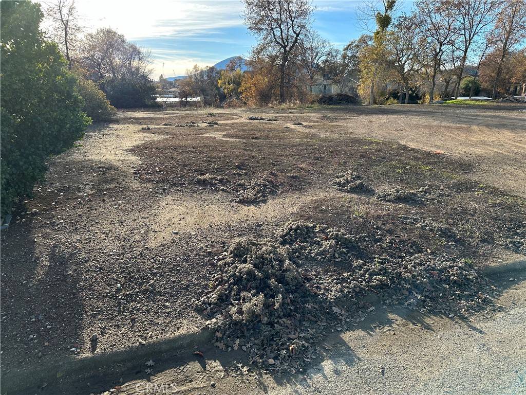 Clearlake Oaks, CA 95423,13161 Venus